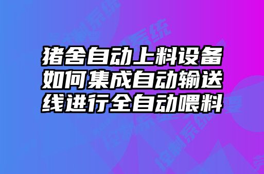 豬舍自動上料設(shè)備如何集成自動輸送線進(jìn)行全自動喂料