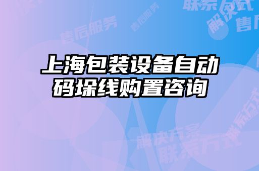 上海包裝設(shè)備自動(dòng)碼垛線(xiàn)購(gòu)置咨詢(xún)