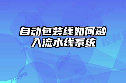 自動包裝線如何融入流水線系統
