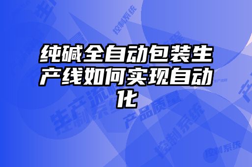 純堿全自動包裝生產(chǎn)線如何實(shí)現(xiàn)自動化